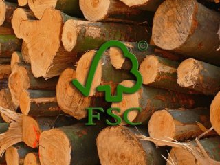 FSC-Logo