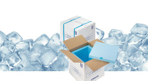 Styropor oder Thermoverpackung aus Papier
